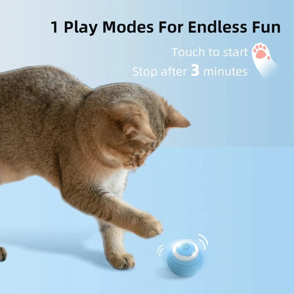 Intelligent cat toys automatically tease cats, grind teeth, and resist biting pet balls. Dog training toys, rolling balls