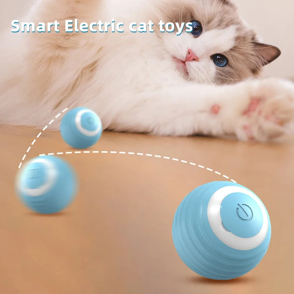 Intelligent cat toys automatically tease cats, grind teeth, and resist biting pet balls. Dog training toys, rolling balls